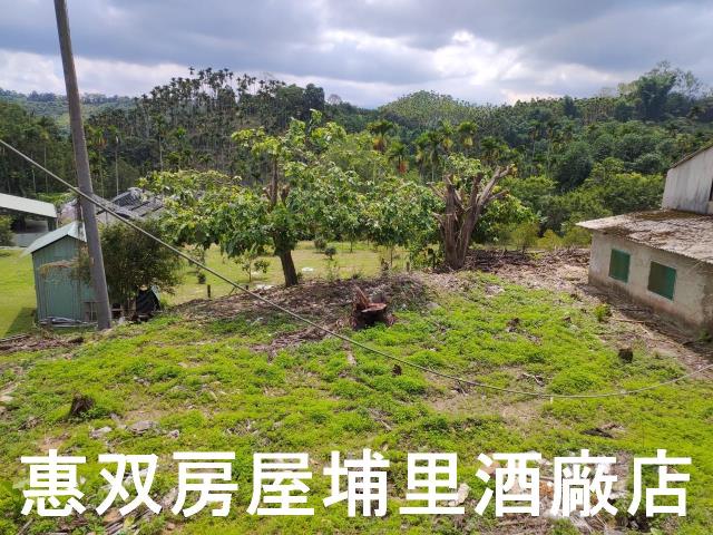 南投魚池農舍-8