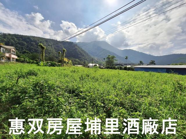 埔里透天-6