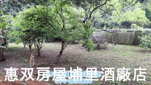 南投魚池未保存平房-7