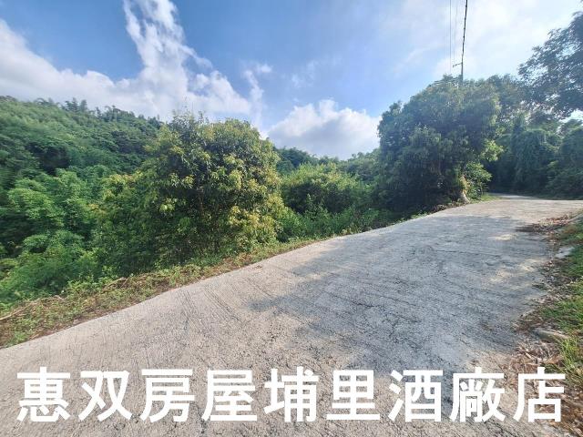 南投市農地-4