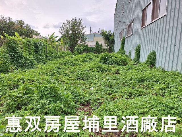 埔里建地-3