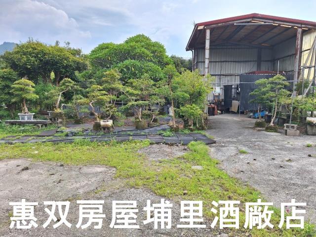 埔里農地-1