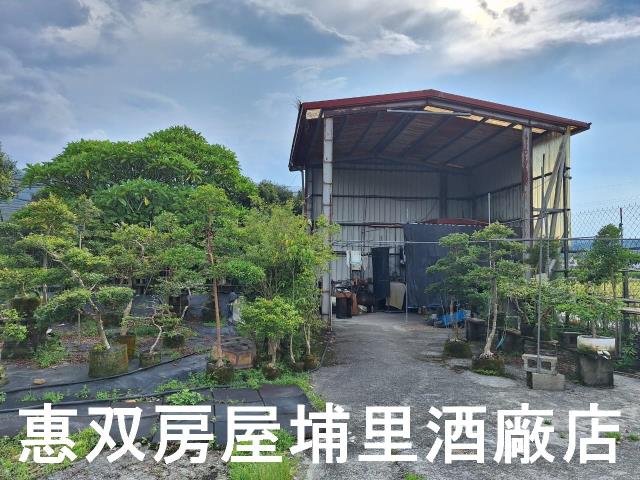 埔里農地-2