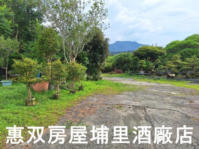 埔里農地-3