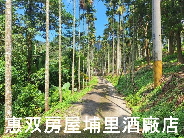 南投農地-7