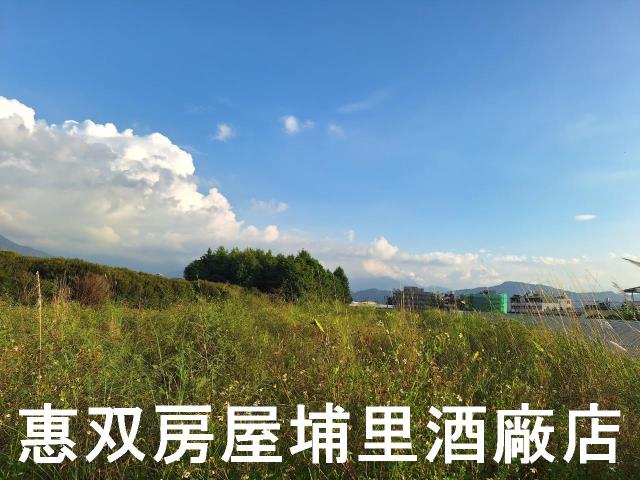 埔里農地-2