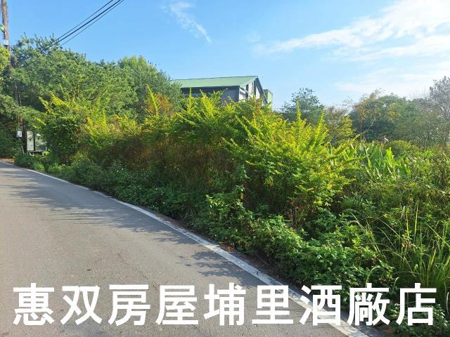南投休閒地-1