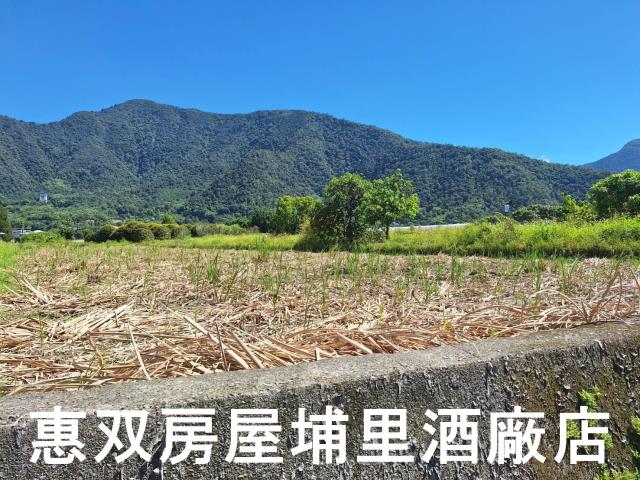南投埔里農地-4