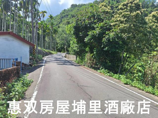 南投埔里農地-0