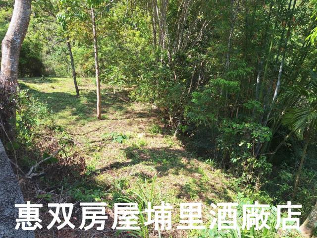 南投埔里農地-2
