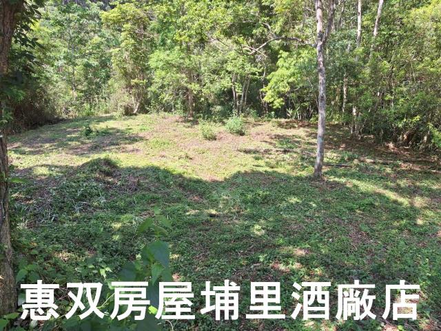 南投埔里農地-5
