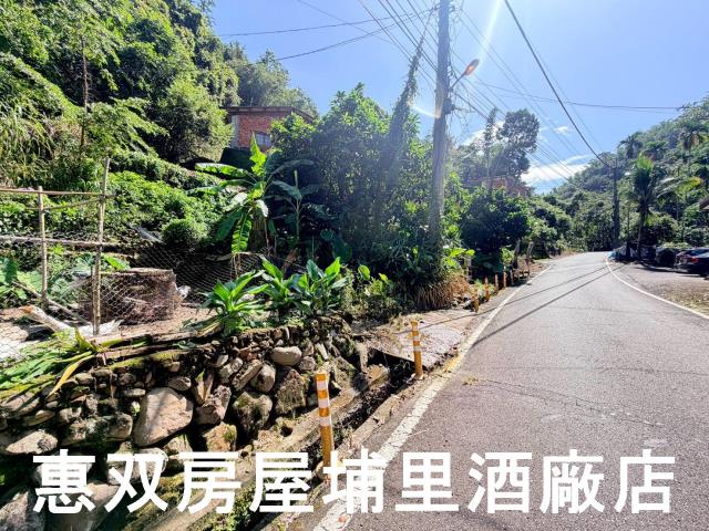 埔里農地-0