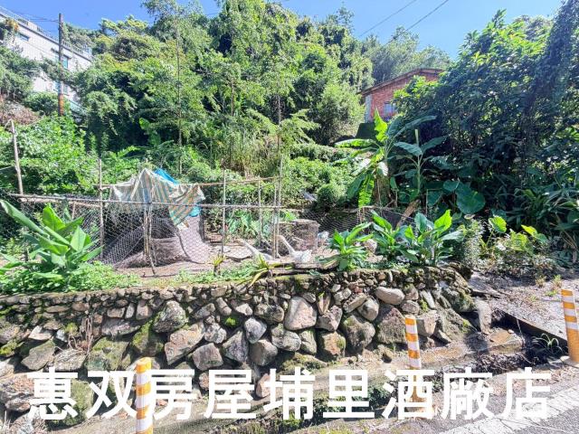 埔里農地-1