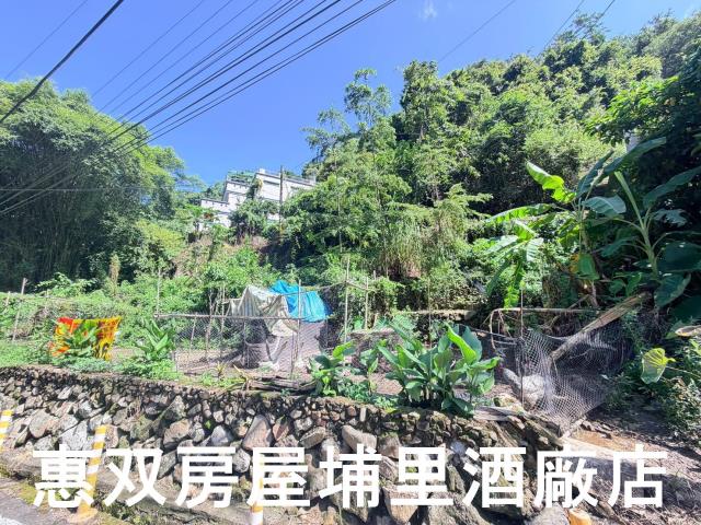 埔里農地-2