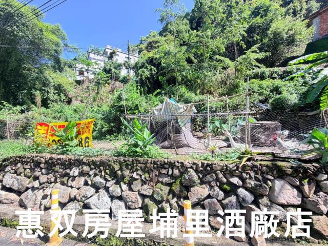 埔里農地-3