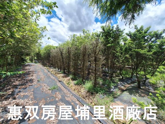 埔里農地-0