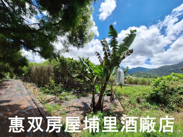 埔里農地-1