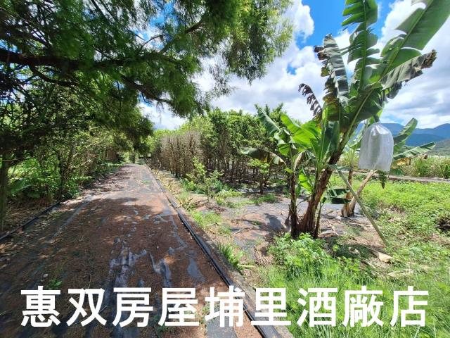 埔里農地-2
