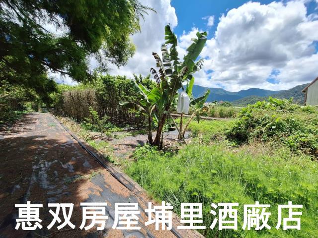 埔里農地-3