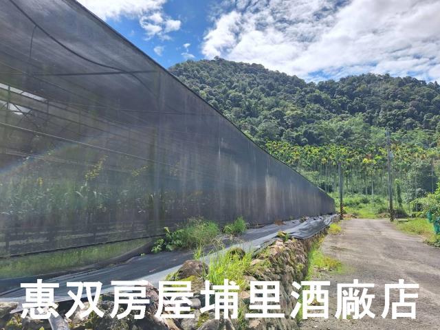 南投埔里休閒地-6
